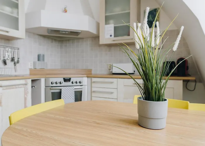 Dream - Art Gallery Family With 2 Bathrooms * Tallinn